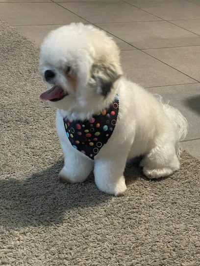 FURnandos Mobile Pet Grooming — photo from their website