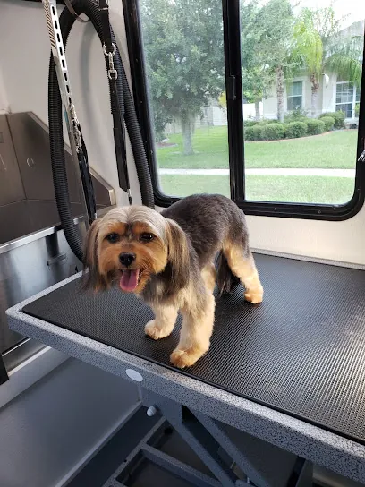 Doggy A Go Go Mobile Grooming — photo from their website