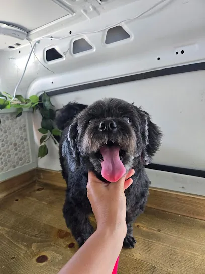 The Little Dog Studio - Mobile Grooming — photo from their website