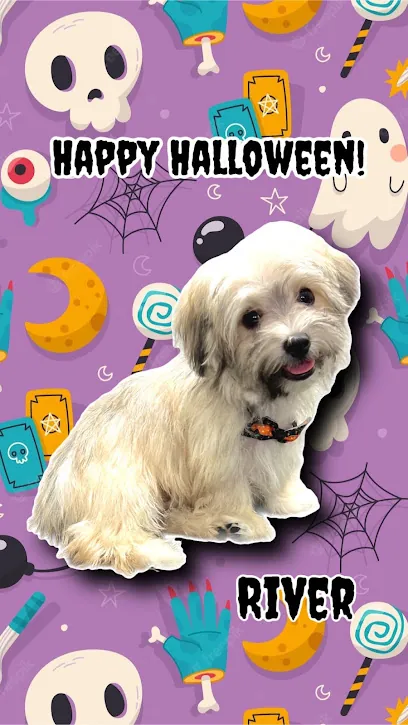Starburst Spa Mobile Pet Grooming — photo from their website