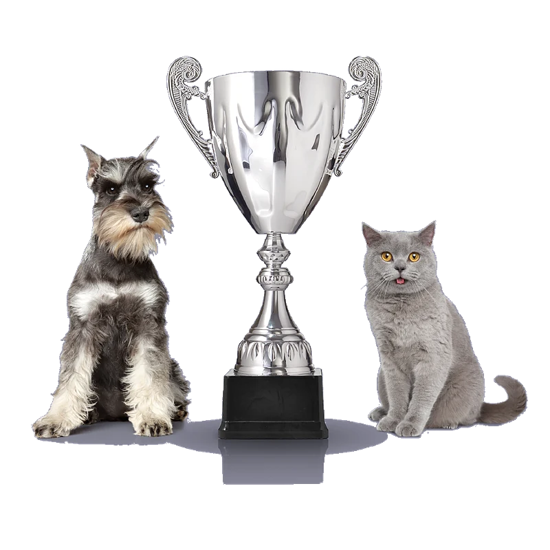 Champion Mobile Pet Grooming — business logo from Google