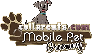 Collar Cuts Mobile Pet Grooming — photo from their website