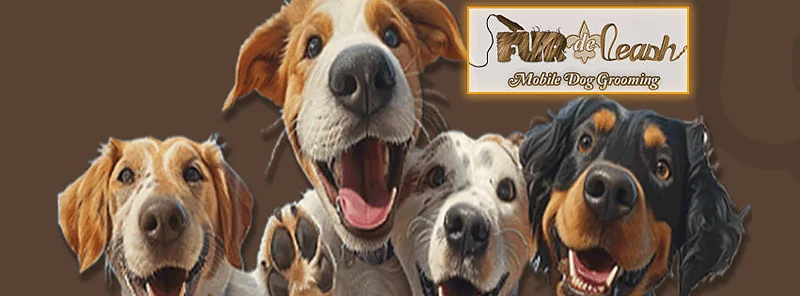 Fur de Leash Mobile Grooming — photo from their website