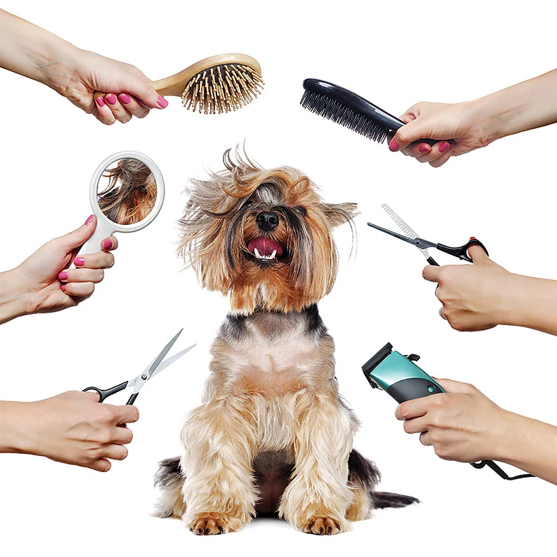 Happy Doggie’s Mobile Pet Grooming — photo from their website