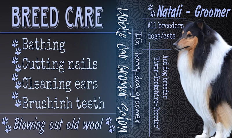Horry Dog Groomer & Mobile Pet Grooming Salon — photo from their website