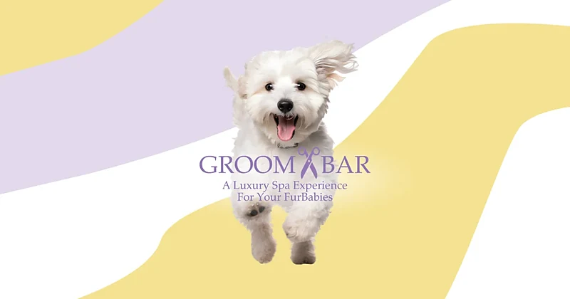 Groombar Orlando - Mobile Pet Grooming — photo from their website