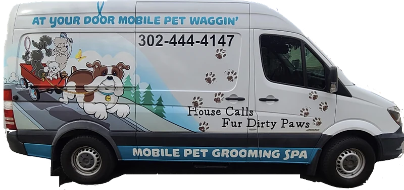 At Your Door Mobile Pet Waggin' — photo from their website
