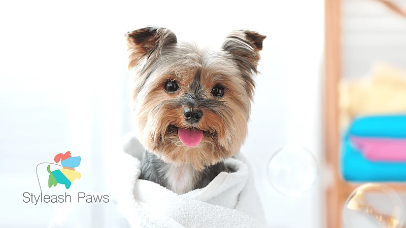 Styleash Paws Mobile Pet Grooming — photo from their website