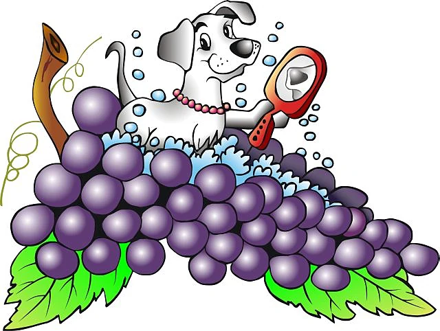 Wine Country Mobile Dog Grooming — business logo from Google