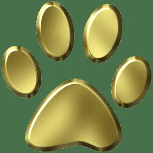 Alexander & Yonis mobile pet salon llc — business logo from their website