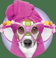 Champoodle Mobile Dog Styling/Spa — business logo from their website