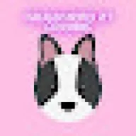 Hialeah Mobile Dog Grooming — business logo from their website