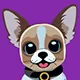 Mia's Mobile Grooming — business logo from their website