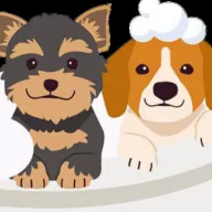 Palm Beach Grooming l Mobile Pet Groomer — business logo from their website